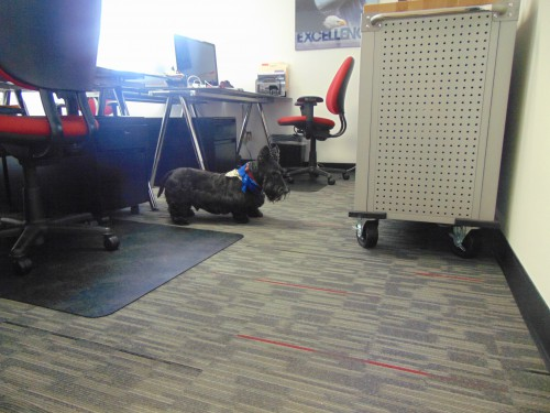 office carpet